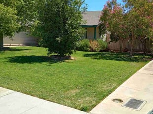 Jeffrey T.'s turf maintenance service result