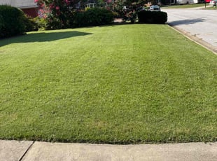 Jonica D.'s yard care service result