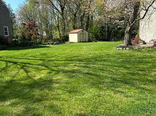 Lisa T.'s lawn care services service result