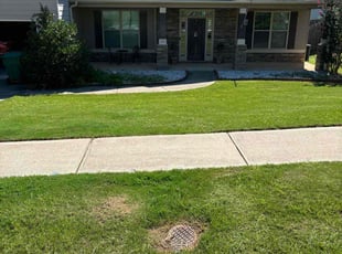 Sherall B.'s lawn care services service result
