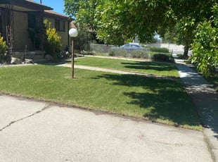 Alice P.'s turf maintenance service result