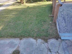 Katy S.'s grass cutting service result
