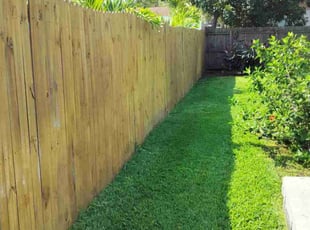 Teri R.'s turf maintenance service result