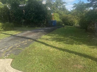 Roselyne C.'s turf care service result