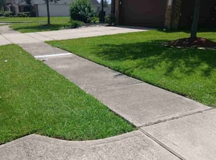 Dave W.'s grass cutting service result