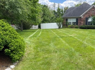 David M.'s Long Grass Cleanup service result