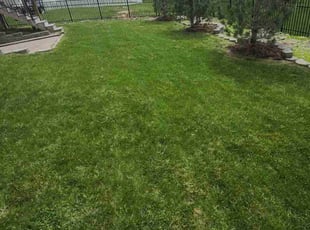 LuAnn P.'s lawn care service result