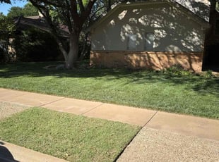 Lisa S.'s grass cutting service result