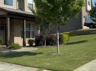 Judy M.'s lawn maintenance service result