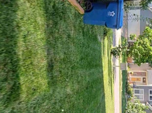 Steve H.'s grass cutting service result