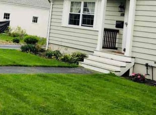 Angel T.'s lawn care services service result