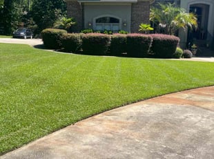 Gregory N.'s grass cutting service result