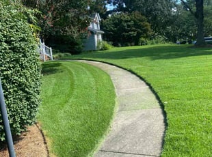 Monica E.'s turf care service result