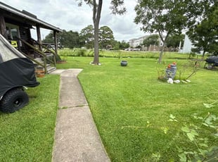 Giancarlo P.'s yard work service result