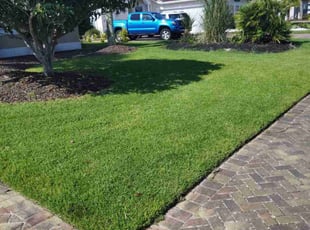 Sharon T.'s lawn care service result