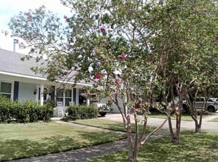 Kenneth W.'s lawn maintenance service result
