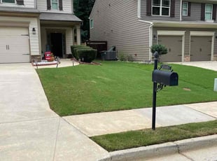 Michelle C.'s grass maintenance service result