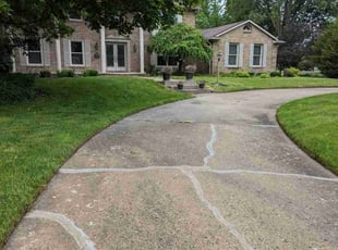 Darlene L.'s lawn care service result