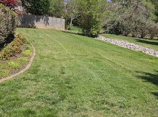 Stephanie G.'s grass cutting service result