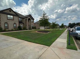 Dan S.'s grass maintenance service result