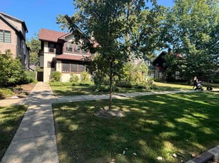 David O.'s Bush Trimming service result
