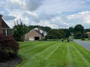 Tenzin Y.'s grass maintenance service result