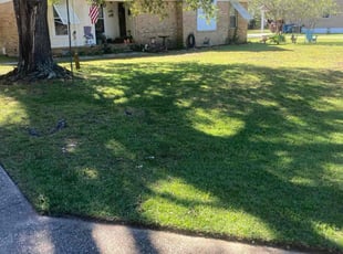 Richard H.'s turf maintenance service result
