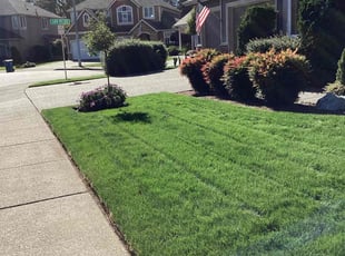 Pam B.'s yard care service result