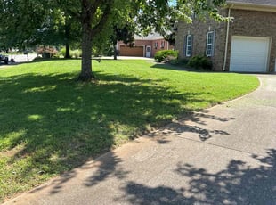 Priscilla A.'s lawn care service result