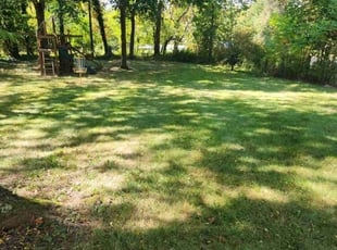 Shelby M.'s turf maintenance service result