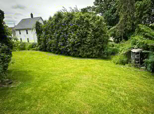 Alia W.'s grass cutting service result