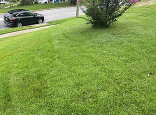 Robin K.'s lawn care service result