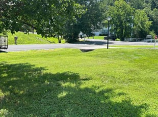 Camisha B.'s grass maintenance service result