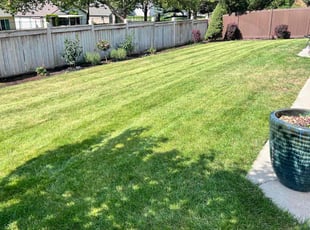 Debbie M.'s turf care service result
