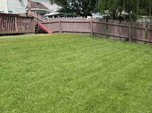 Christopher B.'s grass maintenance service result
