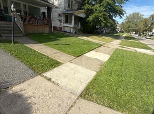 Jasmine R.'s turf maintenance service result