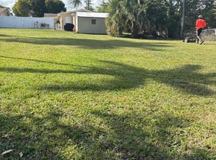 Martha C.'s lawn care services service result