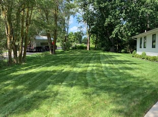 John M.'s turf care service result