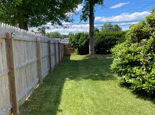 Lisa M.'s grass maintenance service result