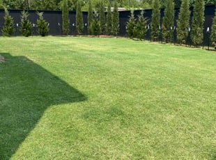 Jon G.'s turf maintenance service result