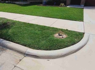 Christopher M.'s turf care service result