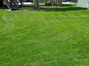 Terrance V.'s lawn service service result