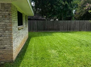 Robert M.'s turf maintenance service result
