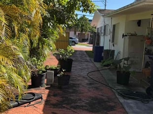 Kirsten H.'s turf care service result