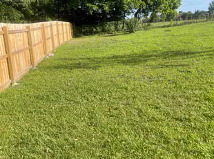 Judie D.'s turf maintenance service result