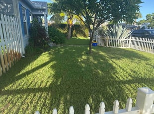 Donna M.'s Leaf Removal service result