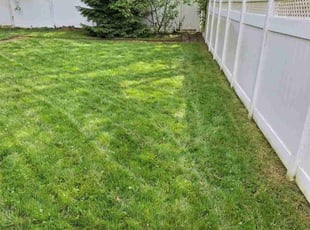 Barbara D.'s lawn maintenance service result