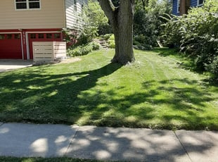 Jennifer M.'s yard maintenance service result