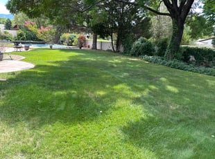 Suzy B.'s lawn service service result