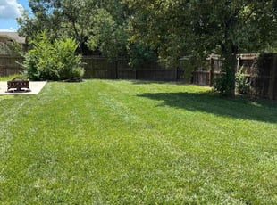 Laura S.'s lawn care services service result